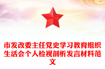 市發(fā)改委主任黨史學習教育組織生活會個人檢視剖析發(fā)言材料范文