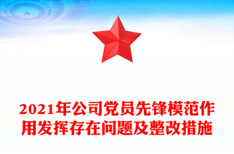 2021年公司黨員先鋒模范作用發(fā)揮存在問題及整改措施