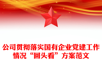 公司貫徹落實國有企業(yè)黨建工作情況“回頭看”方案范文