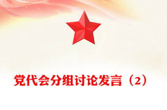 黨代會(huì)分組討論發(fā)言（2）