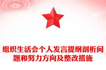 組織生活會個人發言提綱剖析問題和努力方向及整改措施