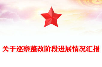 關于巡察整改階段進展情況匯報