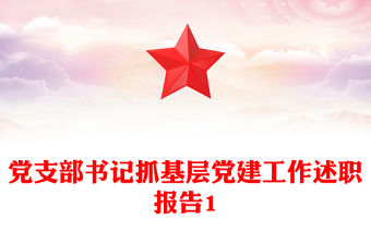黨支部書記抓基層黨建工作述職報告1