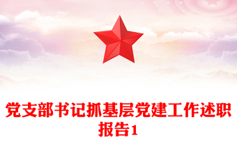 黨支部書記抓基層黨建工作述職報告1