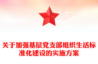 2022黨組織標準化建設回頭看情況的報告