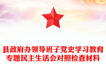 縣政府辦領導班子黨史學習教育專題民主生活會對照檢查材料