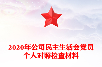 2020年公司民主生活會黨員個人對照檢查材料