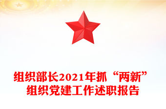 組織部長2021年抓“兩新”組織黨建工作述職報告