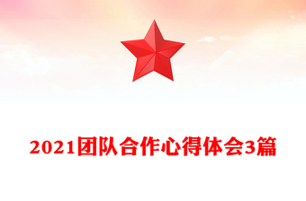 2021團(tuán)隊(duì)合作心得體會(huì)3篇