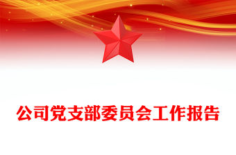 公司黨支部委員會工作報告