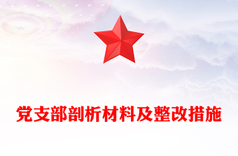 黨支部剖析材料及整改措施