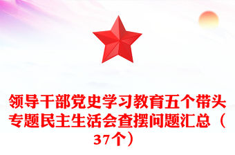 領導干部黨史學習教育五個帶頭專題民主生活會查擺問題匯總（37個）