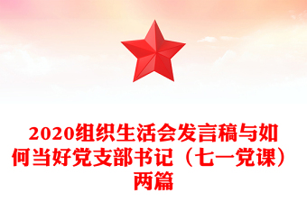 2020組織生活會發(fā)言稿與如何當(dāng)好黨支部書記(七一黨課)兩篇