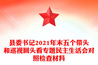 縣委書記2021年末五個帶頭和巡視回頭看專題民主生活會對照檢查材料