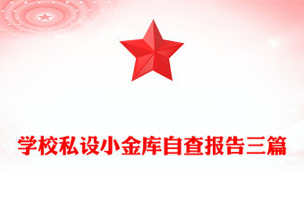 學校私設小金庫自查報告三篇