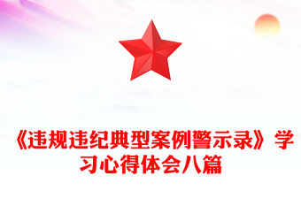 《違規(guī)違紀(jì)典型案例警示錄》學(xué)習(xí)心得體會(huì)八篇