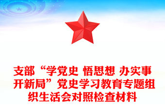 支部“學黨史 悟思想 辦實事 開新局”黨史學習教育專題組織生活會對照檢查材料