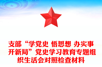 支部“學(xué)黨史 悟思想 辦實事 開新局”黨史學(xué)習(xí)教育專題組織生活會對照檢查材料