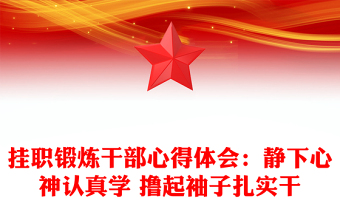 掛職鍛煉干部心得體會：靜下心神認真學(xué) 擼起袖子扎實干