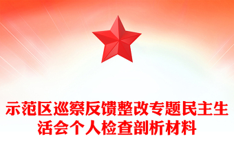 示范區(qū)巡察反饋整改專(zhuān)題民主生活會(huì)個(gè)人檢查剖析材料