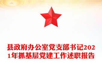 縣政府辦公室黨支部書記2021年抓基層黨建工作述職報告