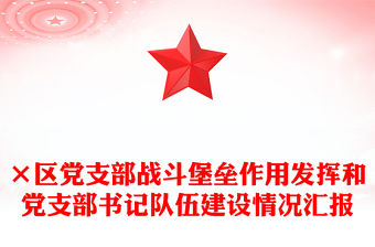 ×區黨支部戰斗堡壘作用發揮和黨支部書記隊伍建設情況匯報