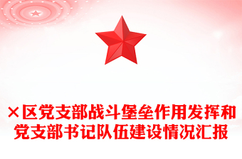 ×區(qū)黨支部戰(zhàn)斗堡壘作用發(fā)揮和黨支部書記隊伍建設情況匯報