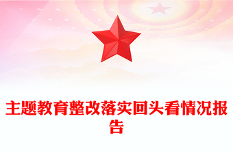 主題教育整改落實(shí)回頭看情況報(bào)告