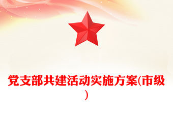 黨支部共建活動實施方案(市級)