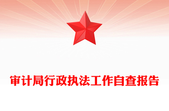 審計(jì)局行政執(zhí)法工作自查報(bào)告