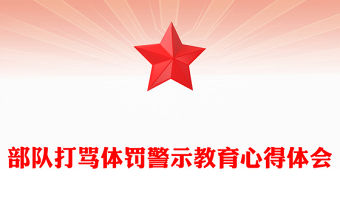 部隊打罵體罰警示教育心得體會 