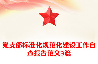 黨支部標(biāo)準(zhǔn)化規(guī)范化建設(shè)工作自查報(bào)告范文3篇