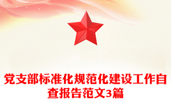 黨支部標(biāo)準(zhǔn)化規(guī)范化建設(shè)工作自查報(bào)告范文3篇