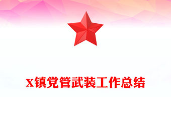 X鎮黨管武裝工作總結