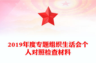 2019年度專題組織生活會個人對照檢查材料
