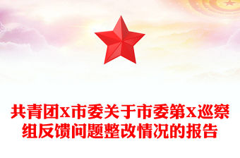 共青團(tuán)X市委關(guān)于市委第X巡察組反饋問(wèn)題整改情況的報(bào)告
