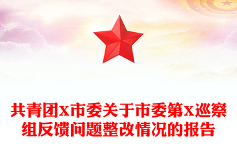共青團(tuán)X市委關(guān)于市委第X巡察組反饋問題整改情況的報(bào)告