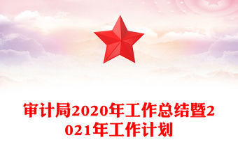 審計(jì)局2020年工作總結(jié)暨2021年工作計(jì)劃