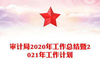 審計(jì)局2020年工作總結(jié)暨2021年工作計(jì)劃