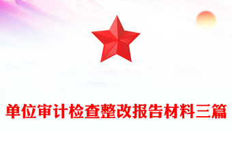 單位審計檢查整改報告材料三篇