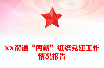 XX街道“兩新”組織黨建工作情況報告