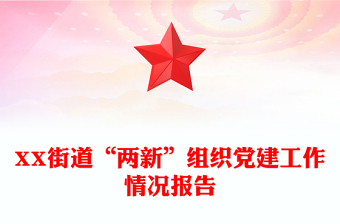 XX街道“兩新”組織黨建工作情況報告