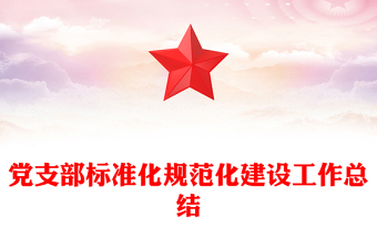 黨支部標(biāo)準(zhǔn)化規(guī)范化建設(shè)工作總結(jié)