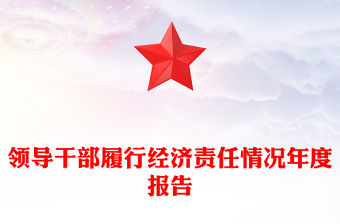 領導干部履行經濟責任情況年度報告