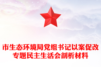 市生態(tài)環(huán)境局黨組書記以案促改專題民主生活會剖析材料