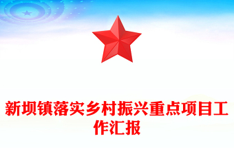 新壩鎮(zhèn)落實鄉(xiāng)村振興重點項目工作匯報