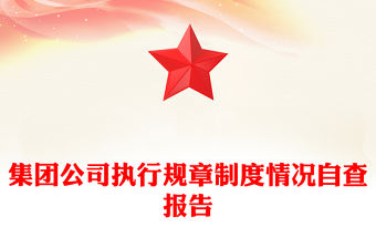 集團(tuán)公司執(zhí)行規(guī)章制度情況自查報告