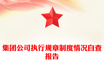 集團公司執(zhí)行規(guī)章制度情況自查報告