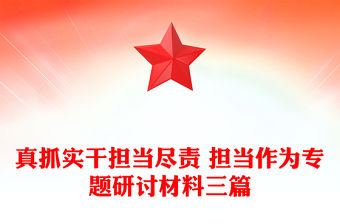 真抓實干擔當盡責 擔當作為專題研討材料三篇