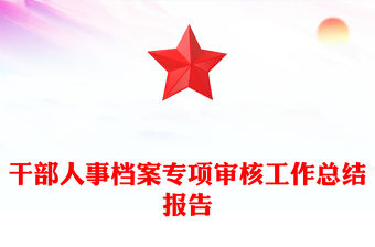 干部人事檔案專項審核工作總結報告